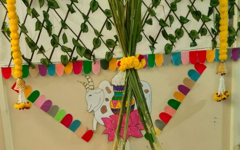 WhatsApp Image 2026-03-17 at 11.02.42